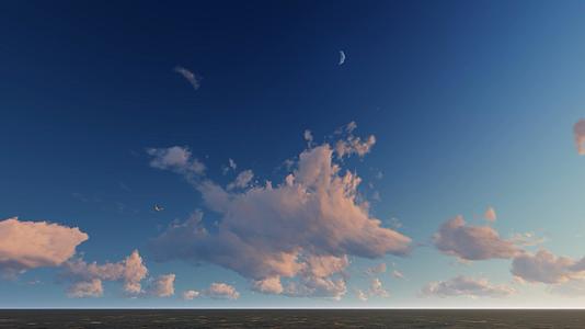 海鸥蓝天白云清澈的大海大气震撼唯美视频的预览图
