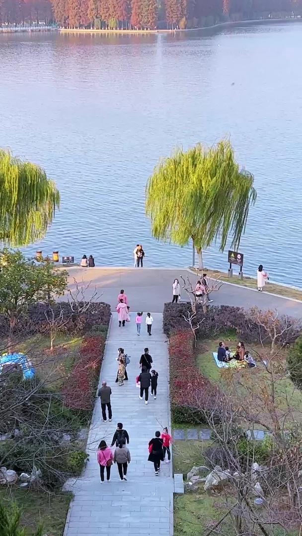 航拍城市自然风光公园绿道上散步休闲的人群素材视频的预览图