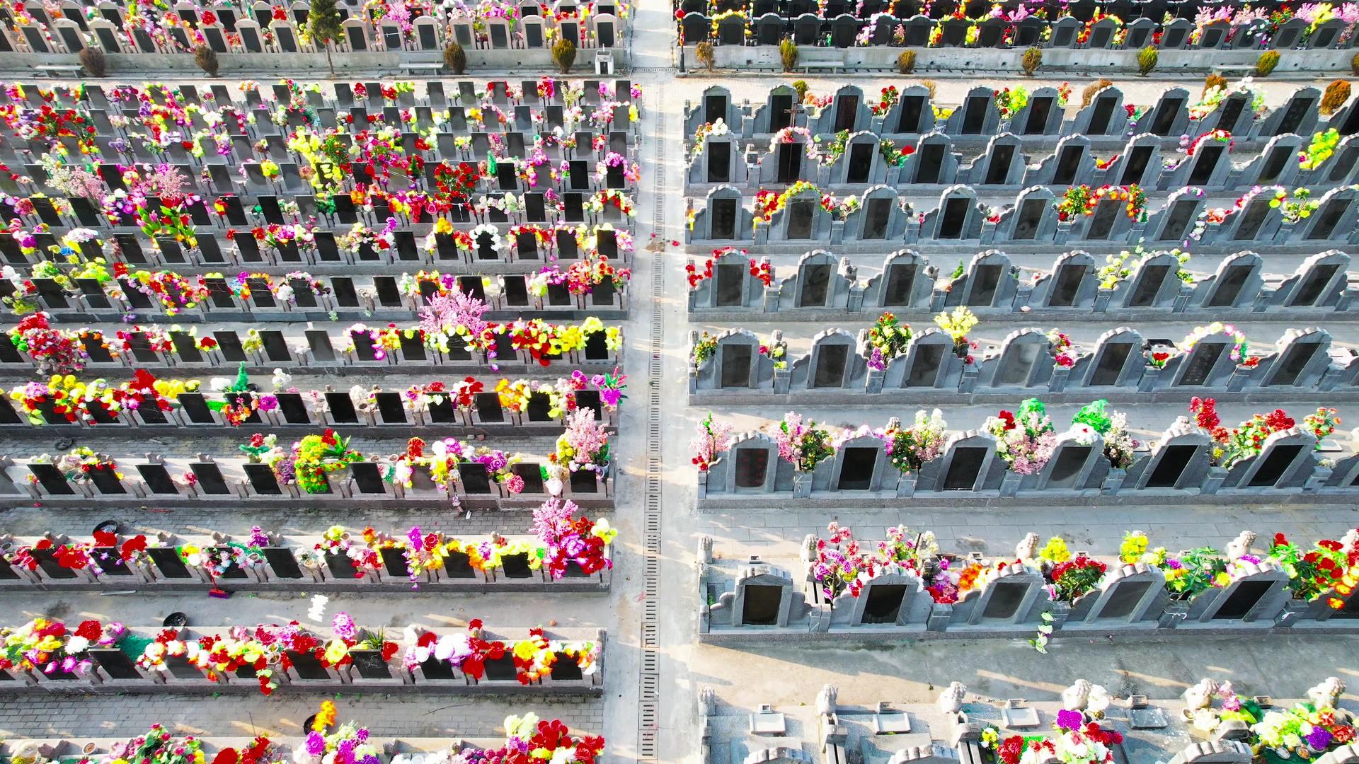 清明节祭祖墓地4K航拍视频素材视频的预览图