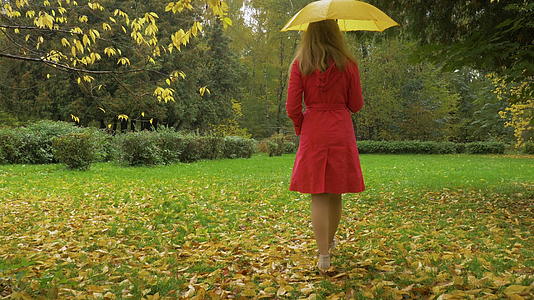 在雨天穿着红色斗篷和黄色雨伞的苗条年轻女子在公园里落叶视频的预览图