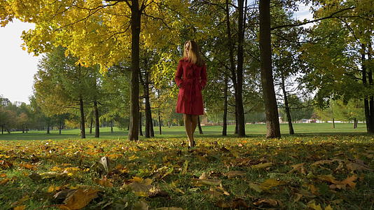 秋天年轻的天主教女孩在公园里行走手里拿着黄色的绿树慢慢地走着视频的预览图