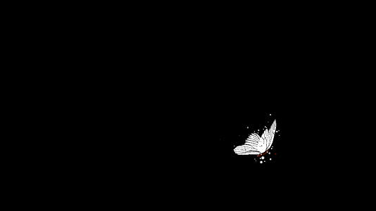 经典白蛾蝴蝶飞行视频的预览图