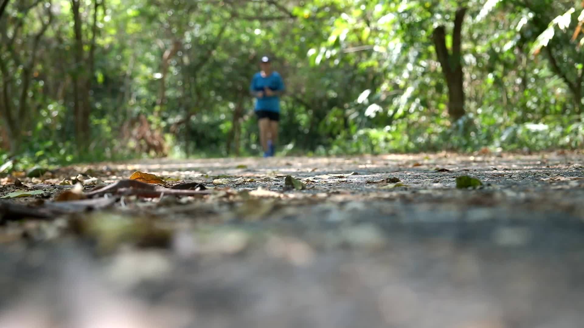 年轻的年轻女子跑在森林的足迹上视频的预览图