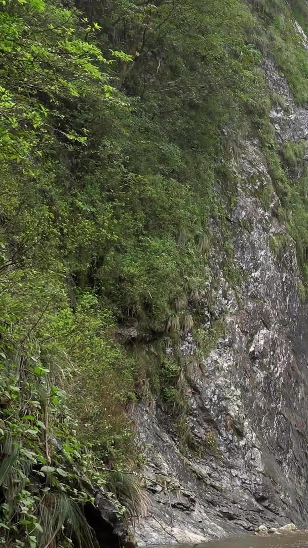 夏天山中壮观的瀑布视频视频的预览图