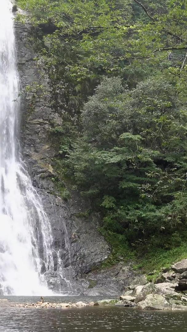 夏天山中壮观的瀑布视频视频的预览图