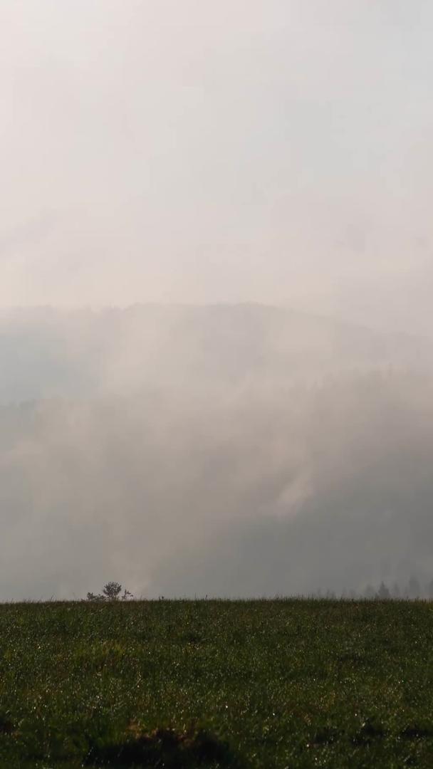 草原上的森林云雾缭绕视频的预览图