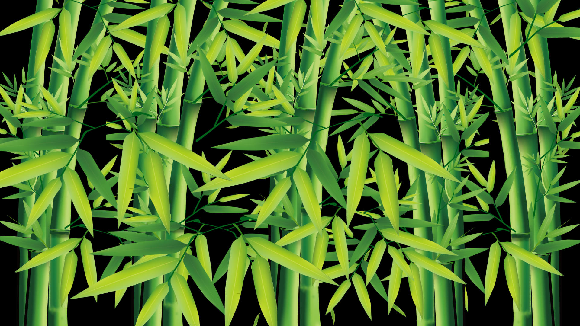 竹叶背景视频的预览图