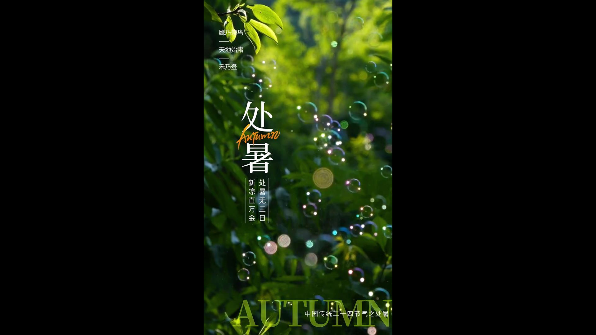 简洁大气夏季视频海报AE模板视频的预览图