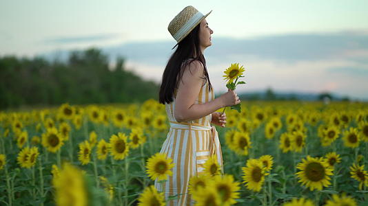 穿着衣服的年轻女子在田野里日落时向日葵漫步视频的预览图