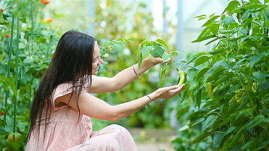 在温室里放一篮绿色蔬菜的年轻女性正在收割时间视频的预览图
