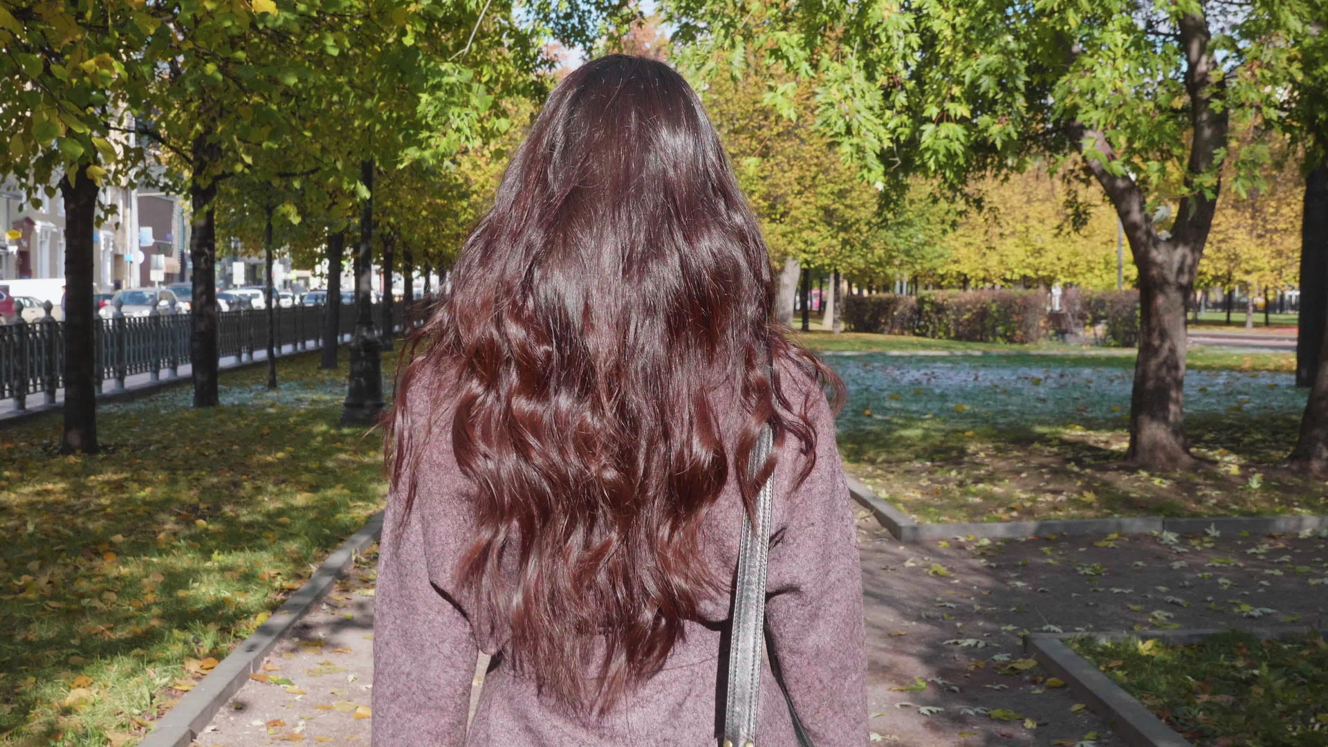 美丽的黑发美女长发卷曲手袋在公园里慢慢行走视频的预览图