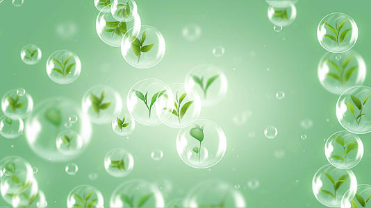 4K清新绿色环保茶叶广告背景视频的预览图