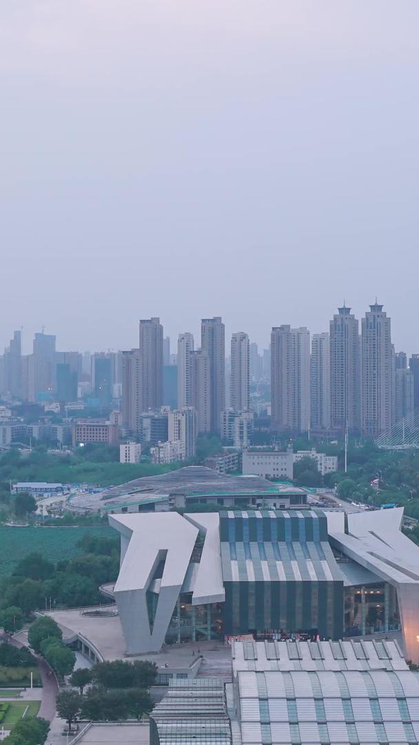 日夜航拍武汉琴台大剧院城市风景视频的预览图