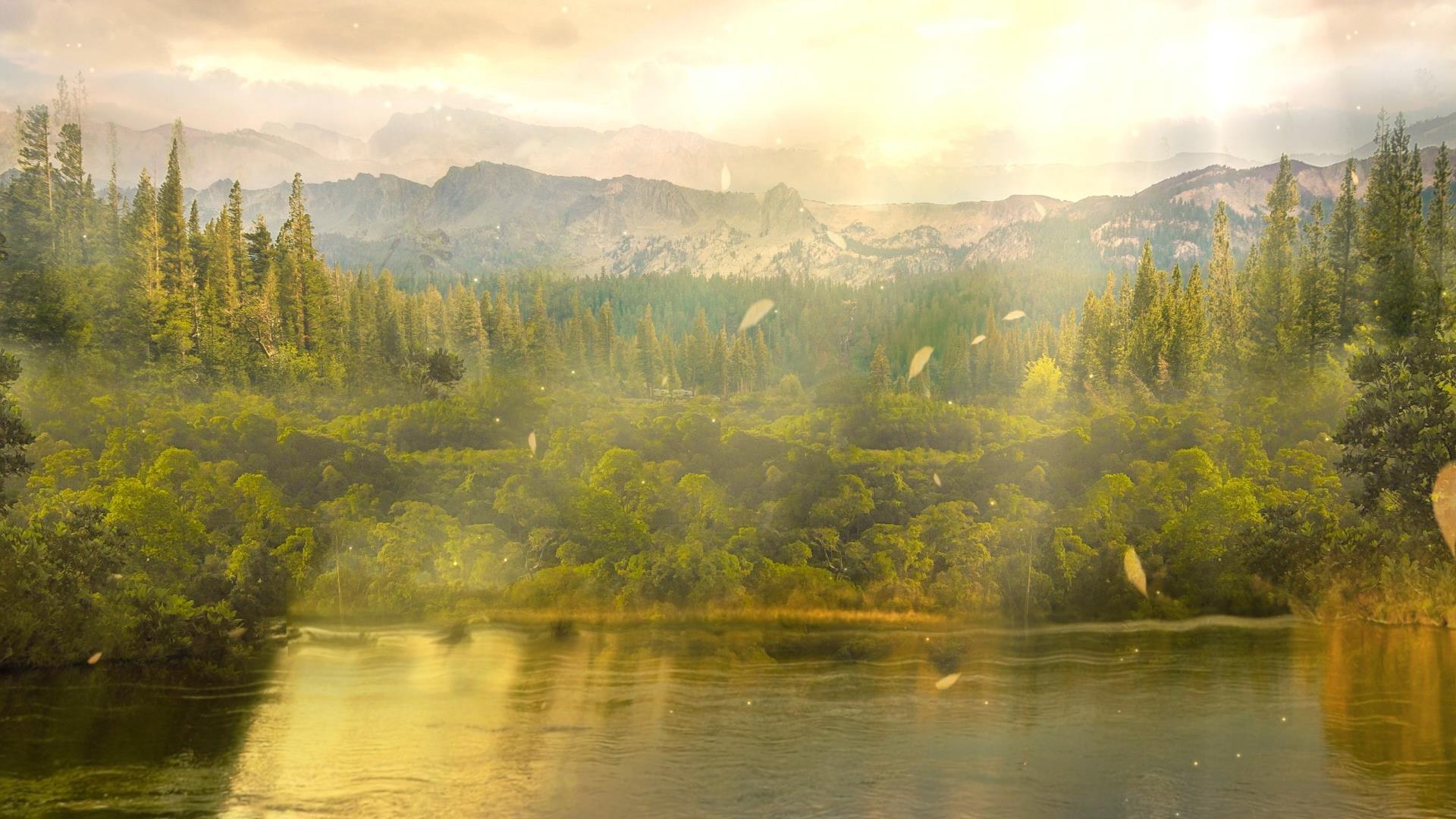 动态唯美丛林湖泊水面动态背景视频元素视频的预览图