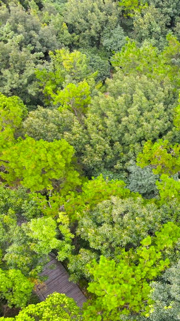 虞山国家森林公园4A景区缆车航拍集合视频的预览图