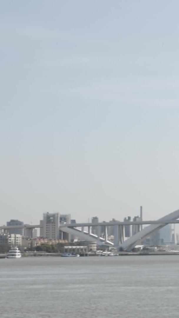 全貌仰望卢浦大桥视频的预览图