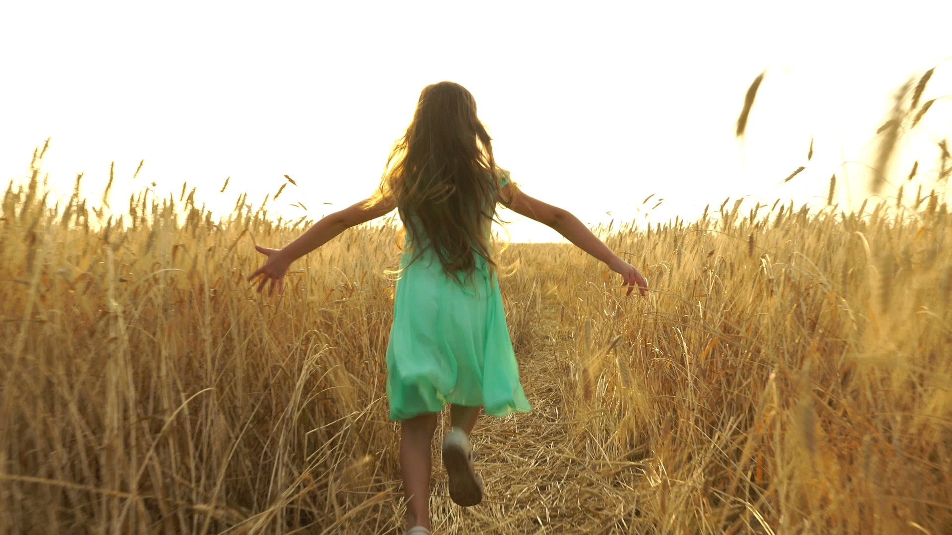 穿着衣服的年轻女孩正在田野里跑来跑去视频的预览图