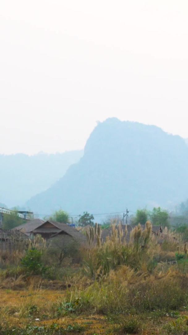 芦苇漂浮在泰国山谷的风中视频的预览图