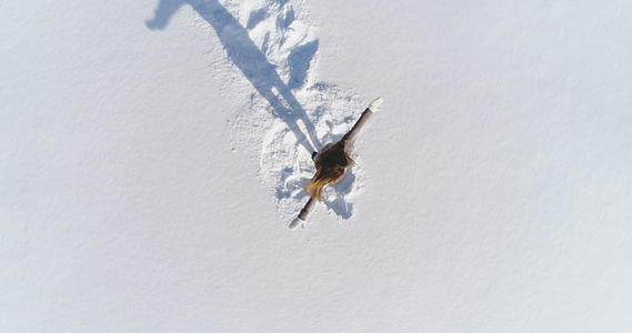 留着长发的年轻女子在阳光明媚的冬天在雪地里旋转从上面看慢动作视频的预览图