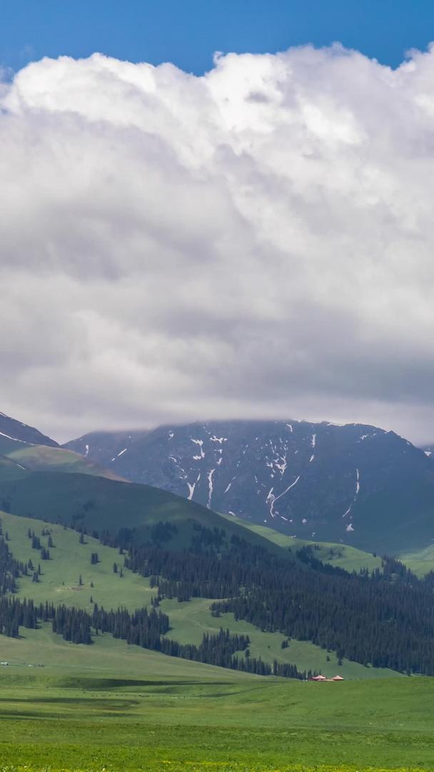 5A伊犁那拉提景区绿色草原及天山雪山延时视频视频的预览图
