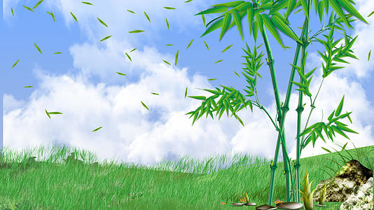 竹叶天空山顶背景视频的预览图