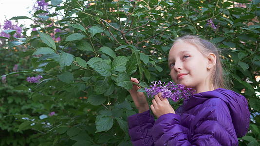 一个穿着紫色夹克的女孩闻到了灌木丛中的花朵视频的预览图