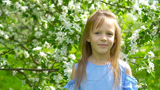 可爱的小女孩在美丽的春天盛开的苹果花园视频的预览图