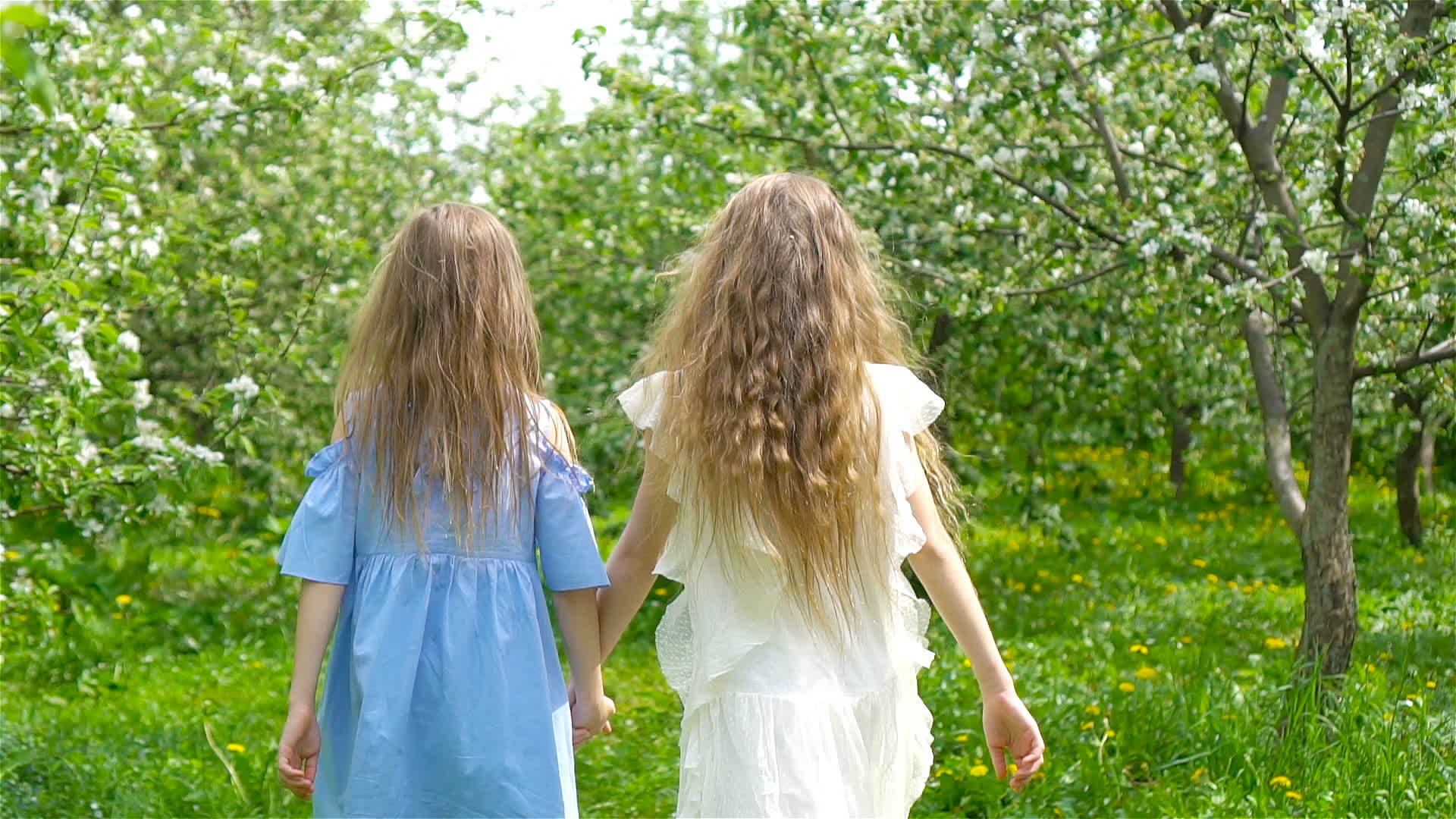 春天可爱的小女孩在盛开的苹果树花园里视频的预览图