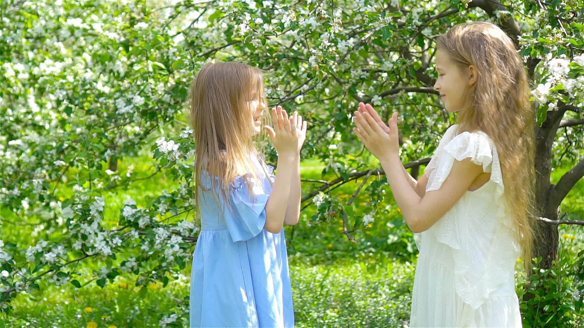 春天可爱的小女孩在盛开的苹果树花园里视频的预览图