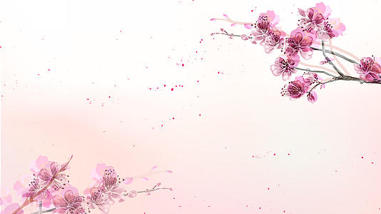 粉色背景视频素材视频的预览图