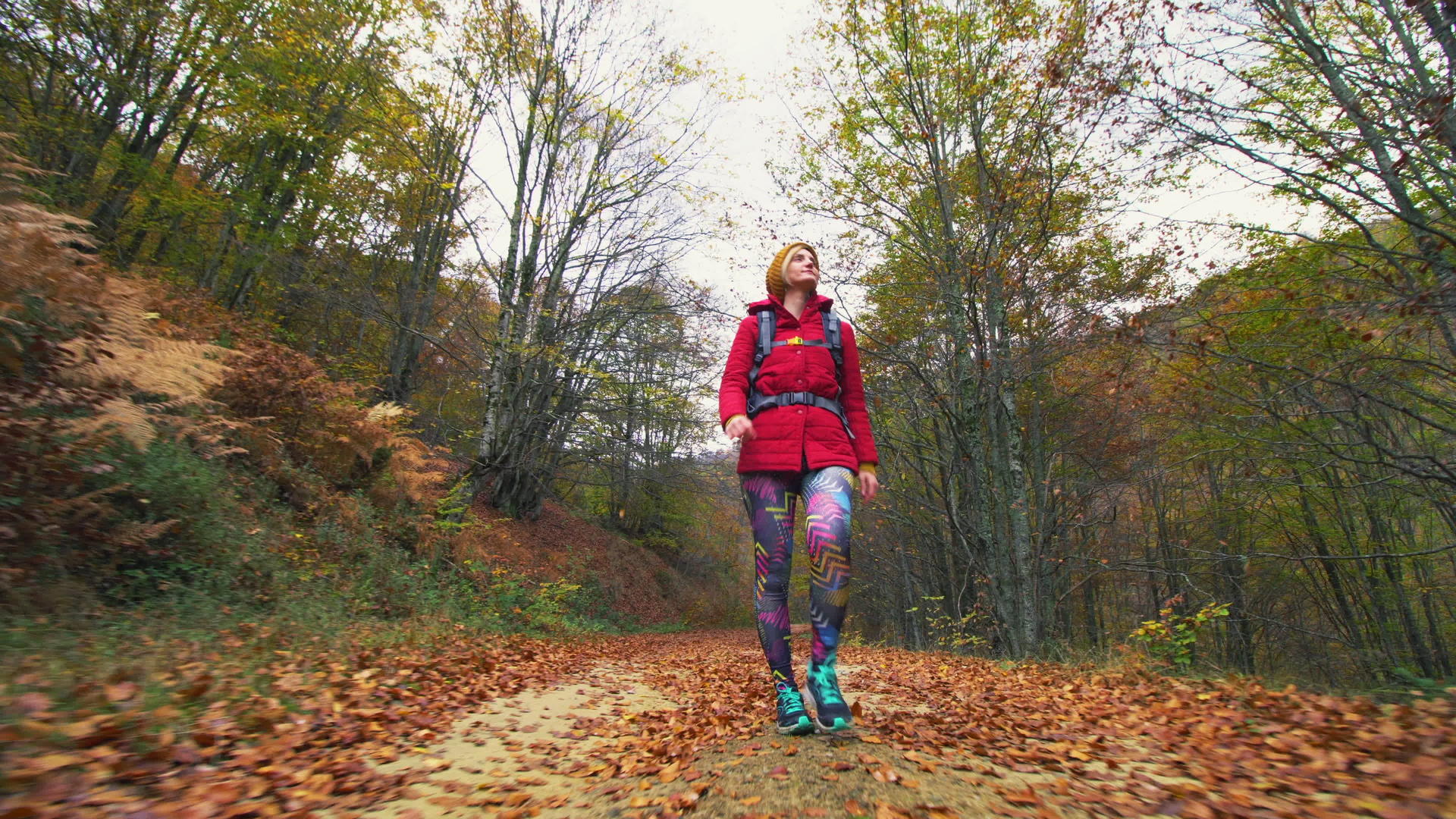 带着背包在泥路上行走的徒步女孩低角度的秋季旅行视频的预览图