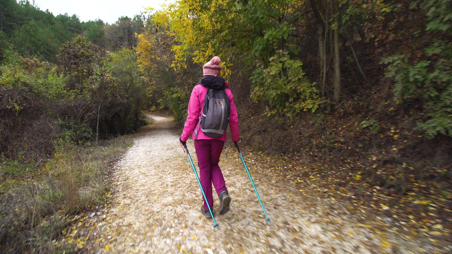 带着杆子和背包在泥路上行走的徒步女孩在秋天旅行视频的预览图