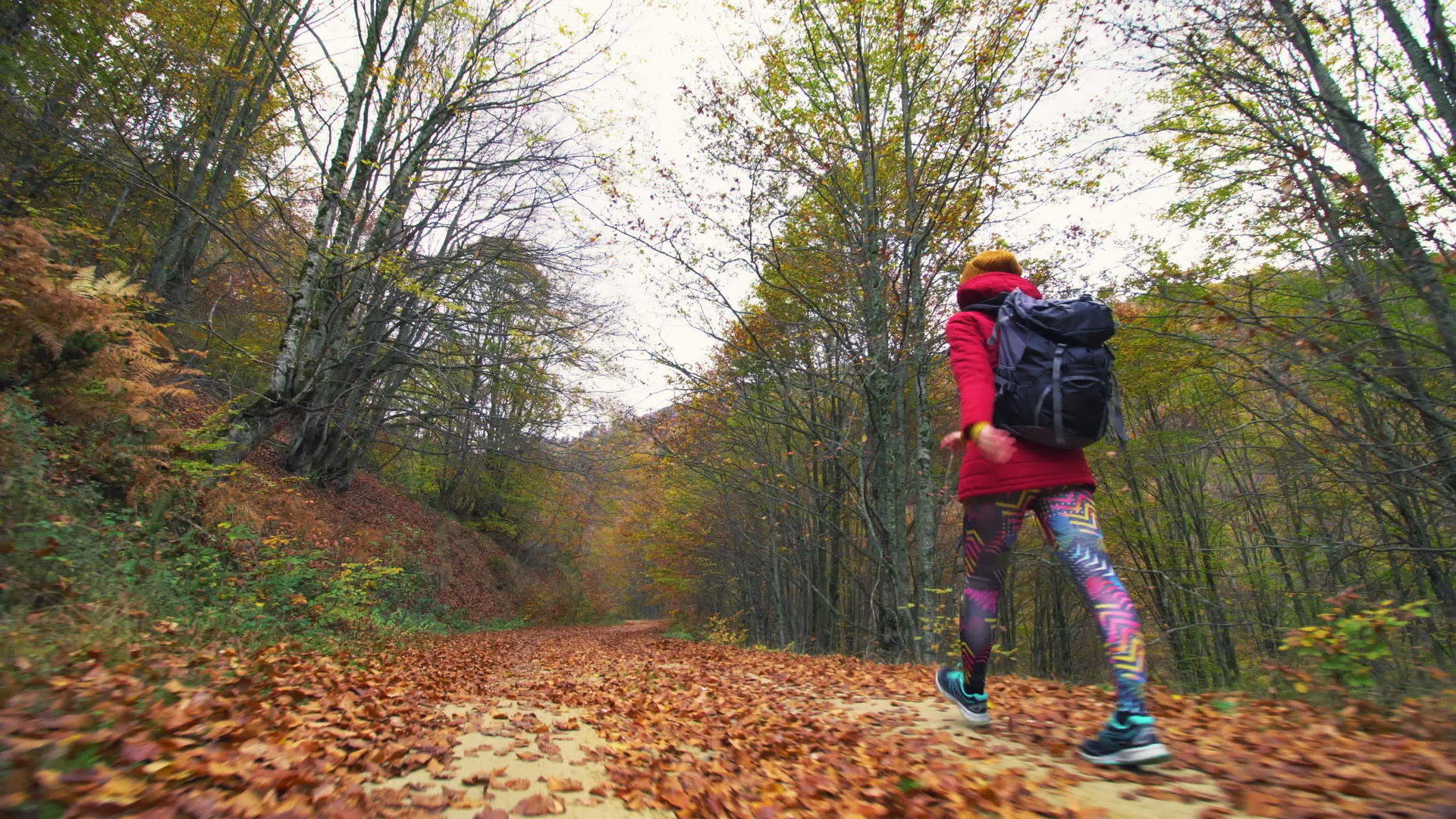 背着背包在泥路或小路上行走的徒步女孩低角度后视秋季旅行视频的预览图