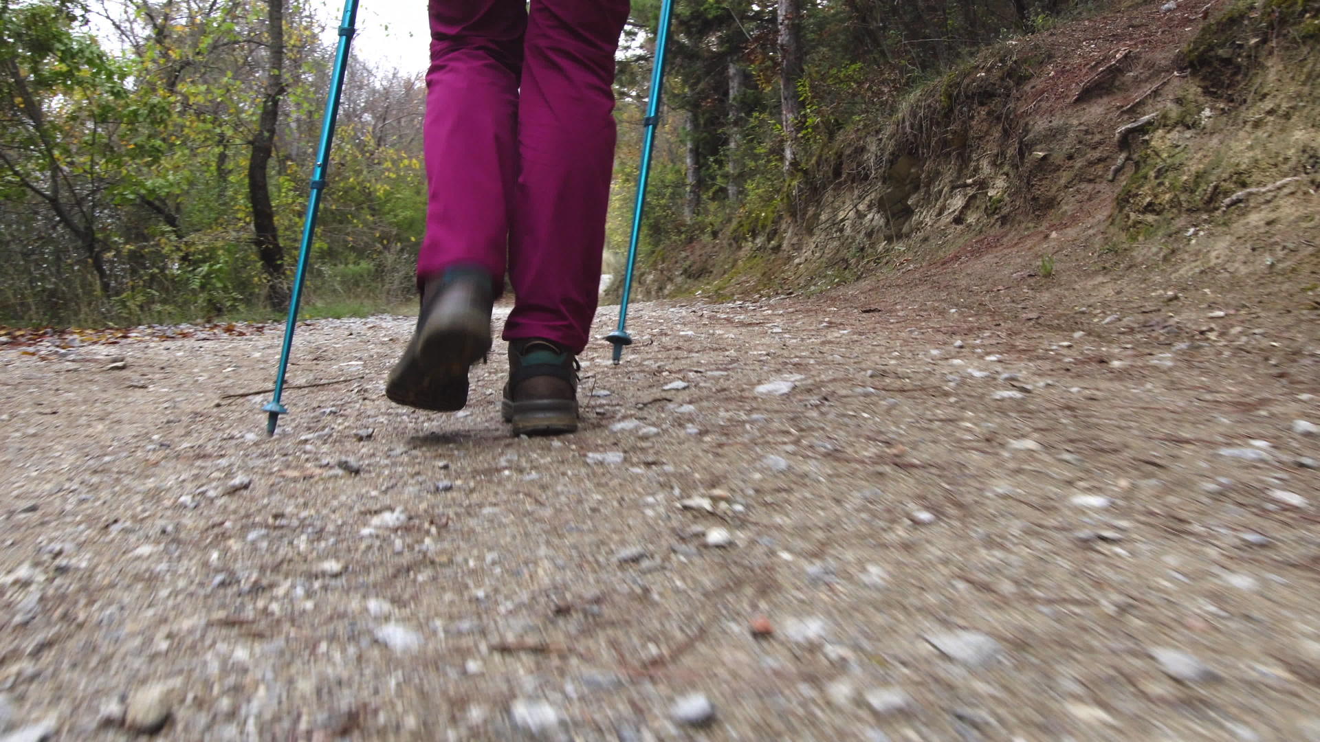 带着杆子和背包在土路或小路上行走的女孩视频的预览图