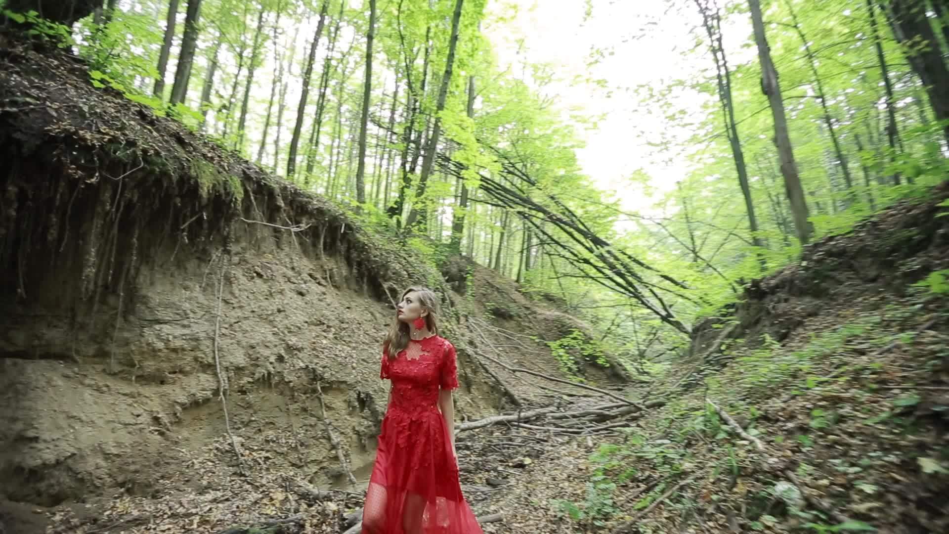 女孩死于森林视频的预览图