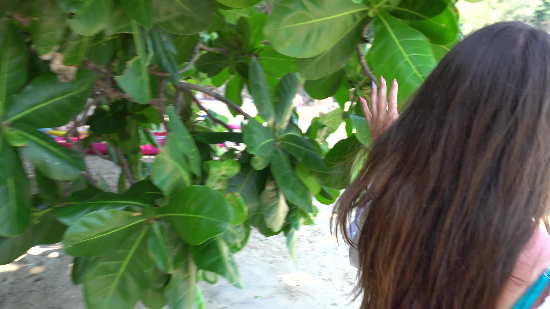 树叶背景和女孩在树上戴眼镜视频的预览图