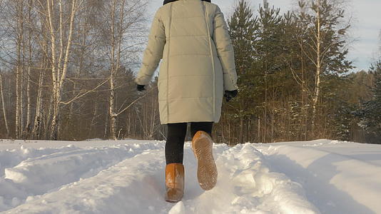 快乐的女孩在雪林中行走在寒冷的日子后视线下视频的预览图
