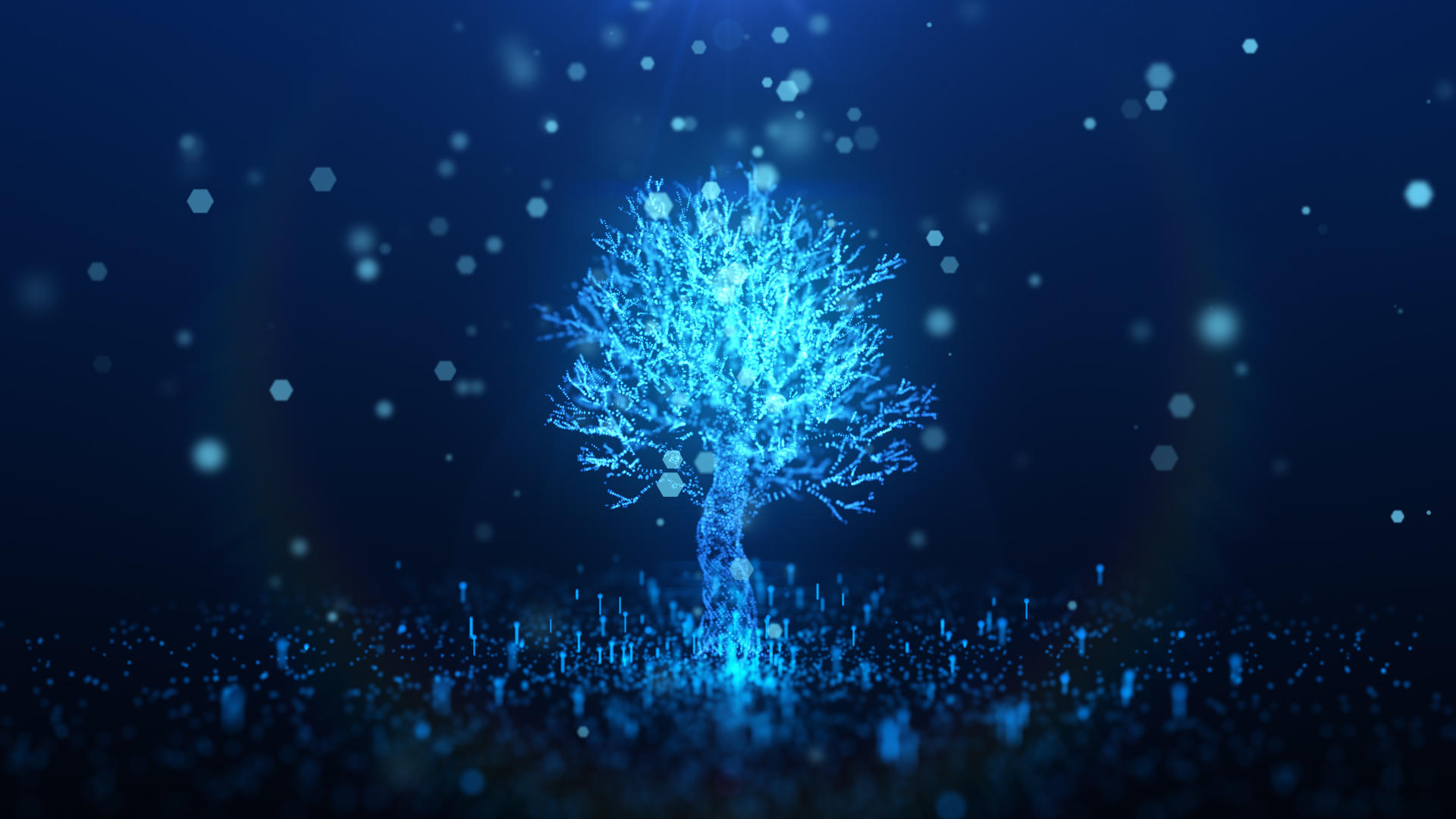 蓝色粒子树视频的预览图