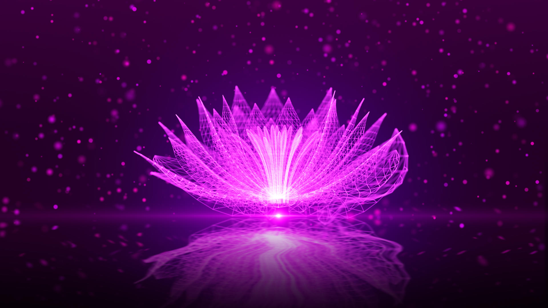 紫色粒子花朵视频的预览图