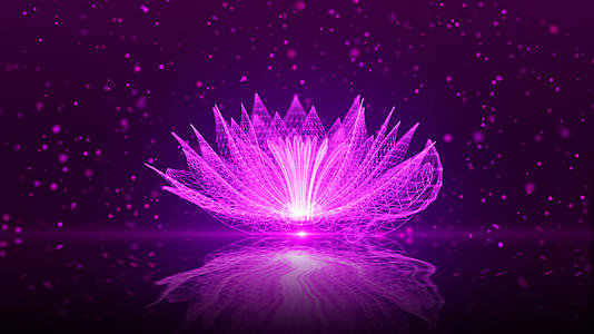 紫色粒子花朵视频的预览图