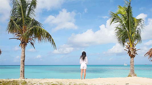 在狂喜节期间海边的年轻女子站在反古阿岛的棕榈树上视频的预览图