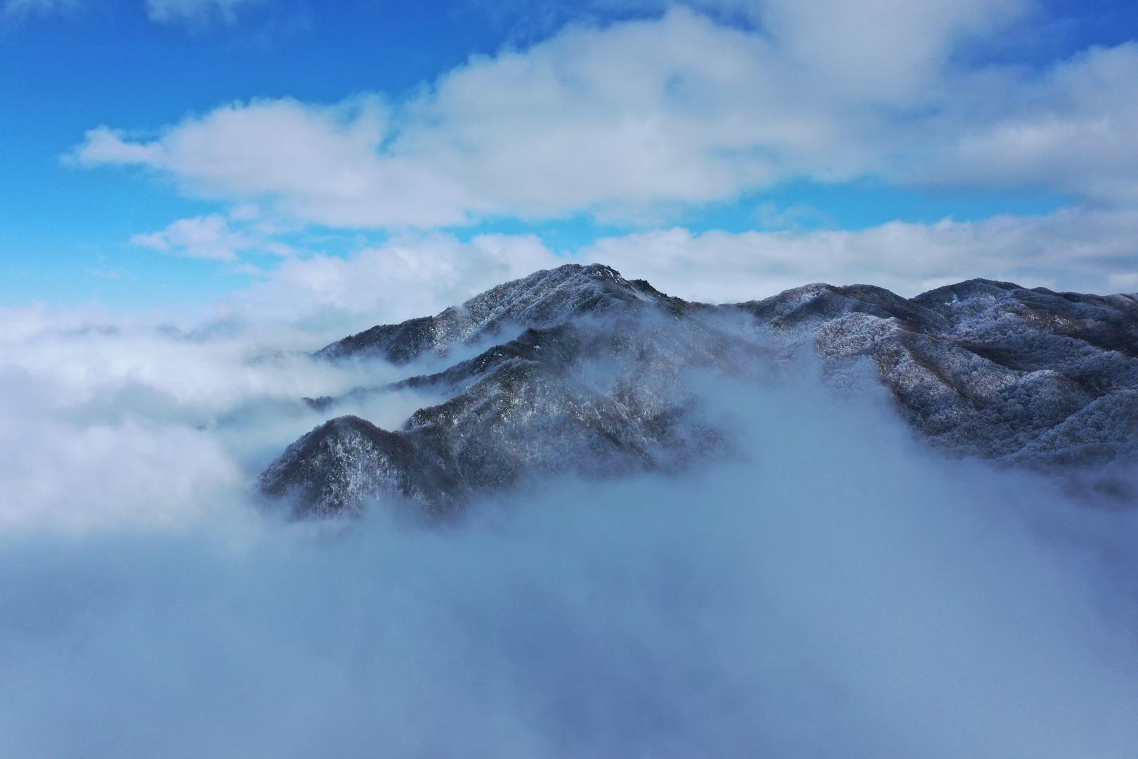 秦岭原始森林云海视频的预览图