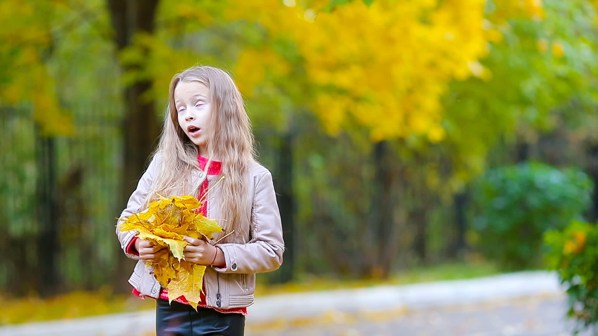 美丽的秋天女孩们在户外玩叶子的美丽秋天视频的预览图