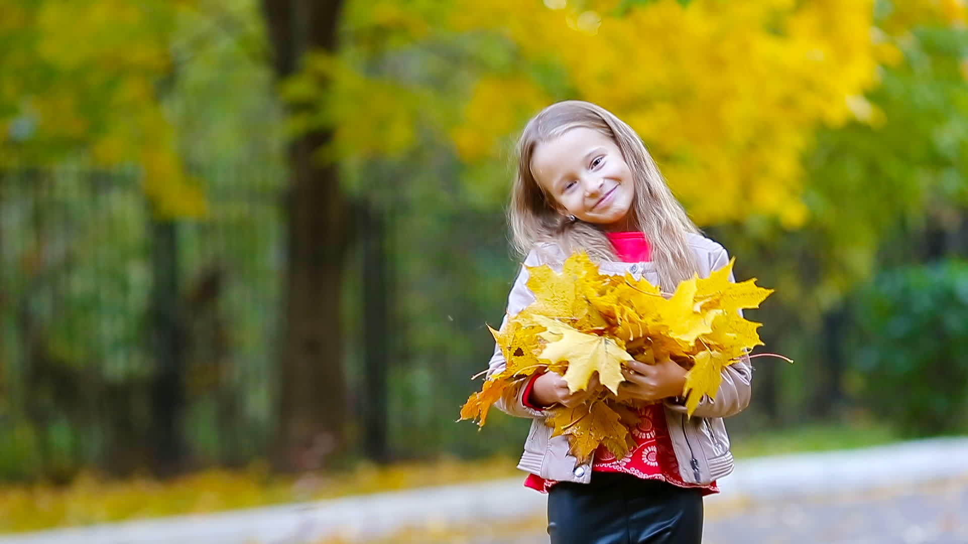 在美丽的秋天用黄色和橙色的叶子在户外拍摄可爱的小女孩视频的预览图