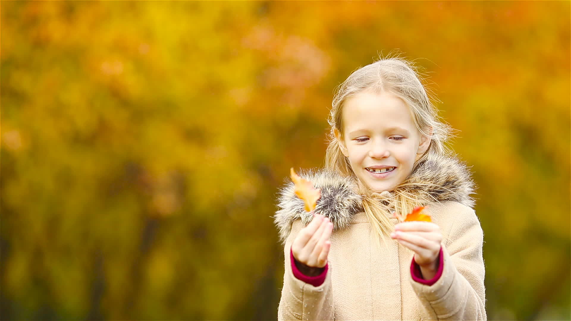 孩子们在户外玩得开心天气温暖秋天黄叶视频的预览图