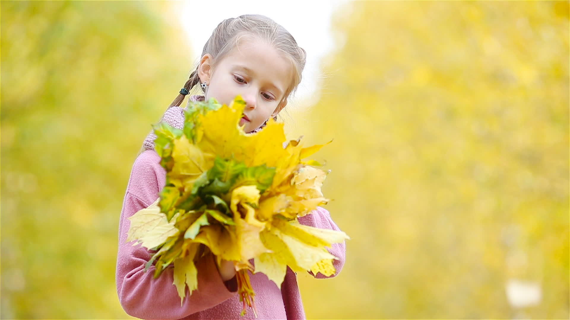 在美丽的秋天花束上有黄色和橙色的叶子视频的预览图
