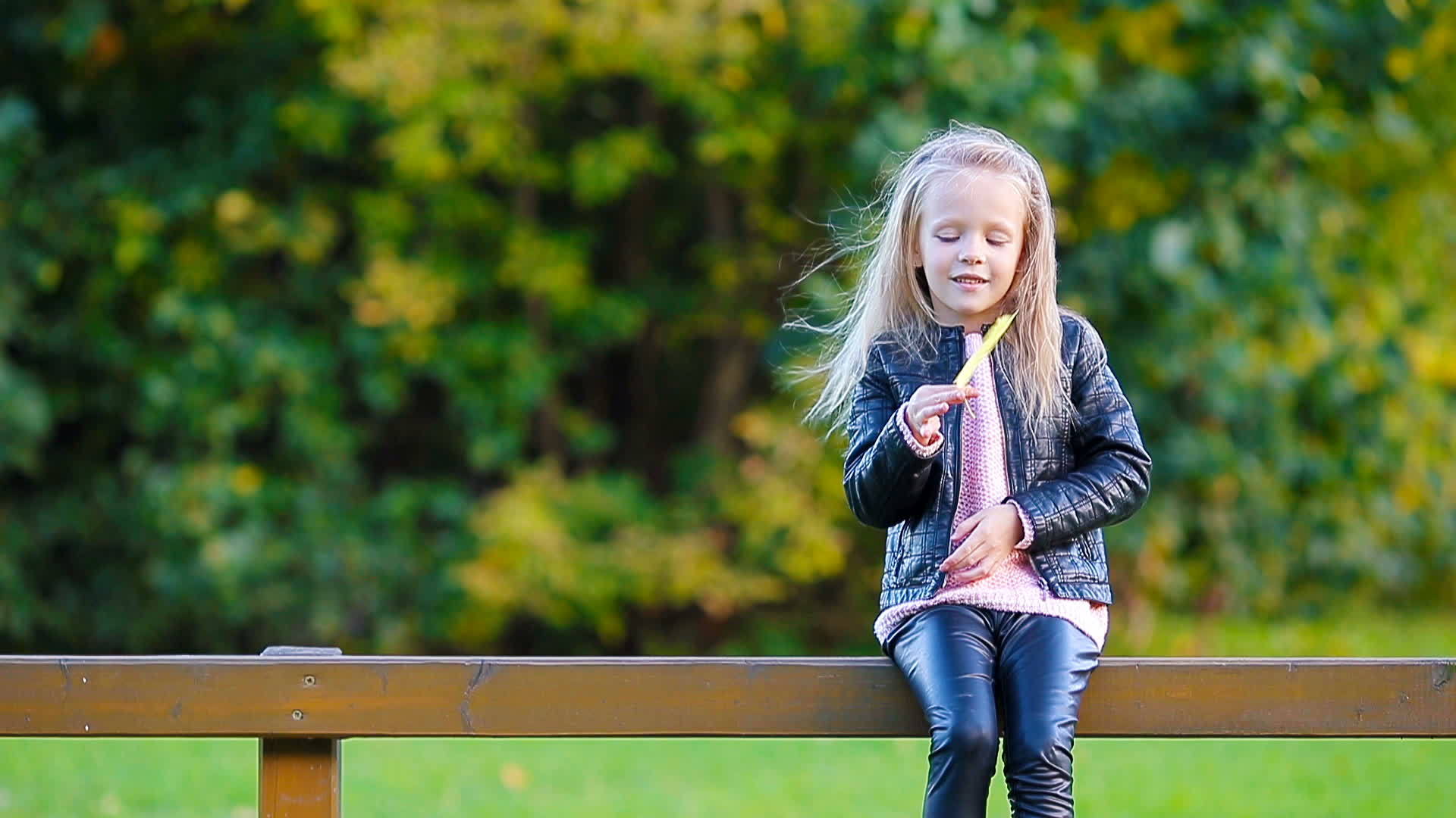 在美丽的秋天可爱的小女孩拿着黄叶的肖像视频的预览图