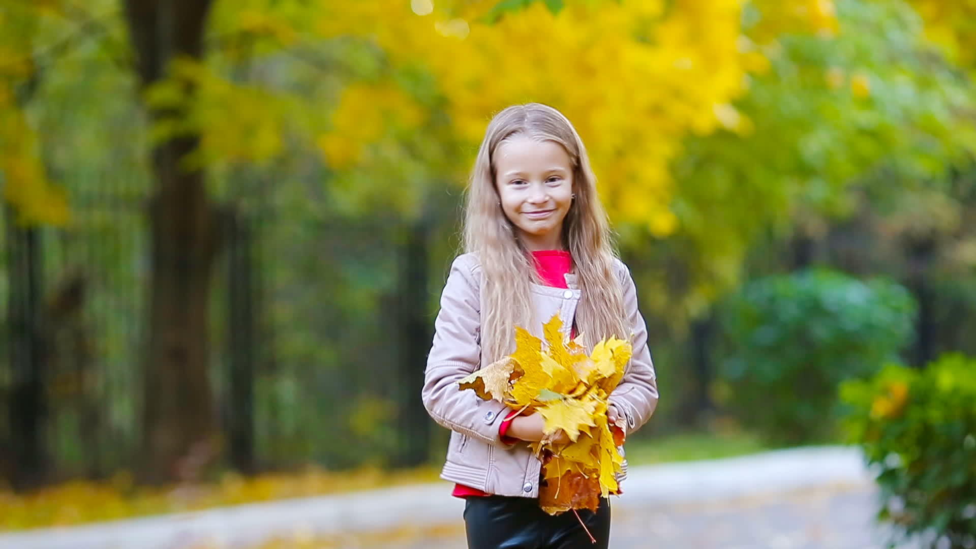 可爱的小女孩在美丽的秋天户外视频的预览图