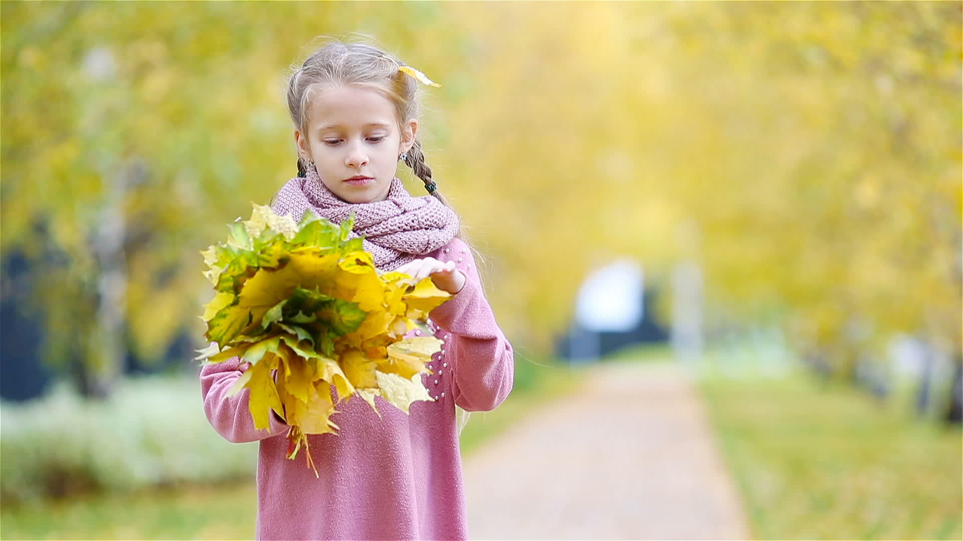 在美丽的秋天在户外用黄色和橙色的叶子画出可爱的花束视频的预览图