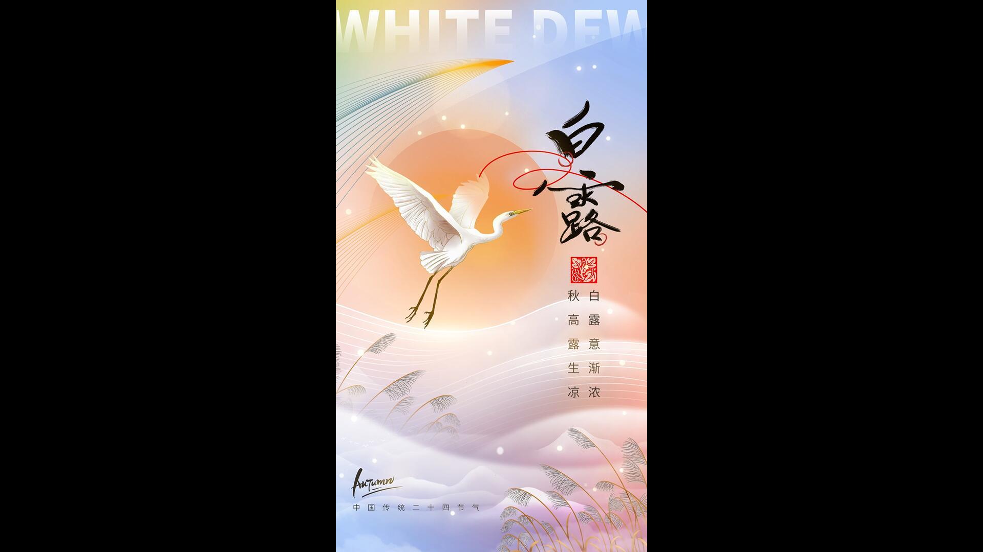 简洁美白露竖版海报AE模板视频的预览图